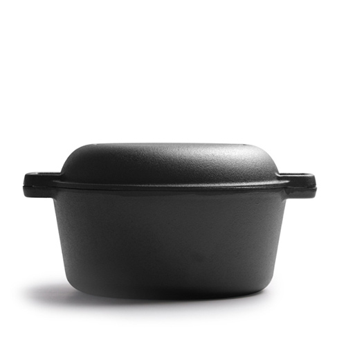 pre-seasoned cast iron pot